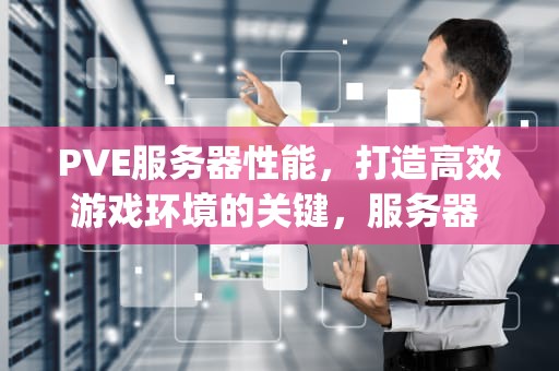 PVE服务器性能，打造高效游戏环境的关键，服务器 pve