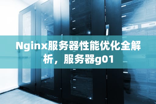 Nginx服务器性能优化全解析，服务器g01