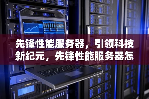 先锋性能服务器，引领科技新纪元，先锋性能服务器怎么样
