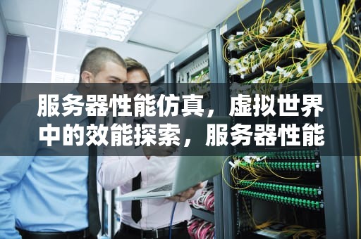 服务器性能仿真，虚拟世界中的效能探索，服务器性能仿真软件