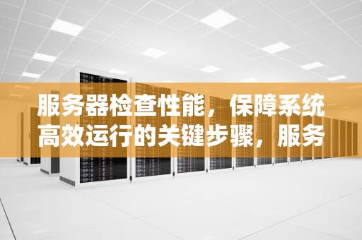 服务器检查性能，保障系统高效运行的关键步骤，服务器检查性能的方法