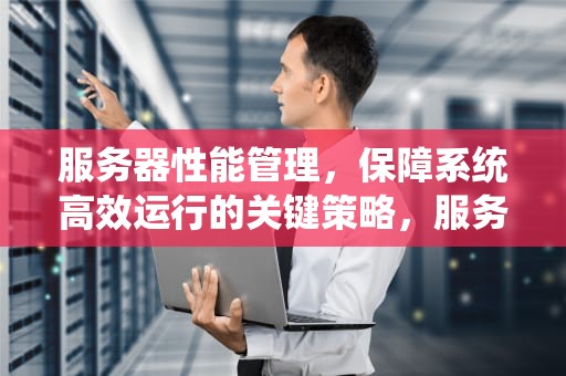 服务器性能管理，保障系统高效运行的关键策略，服务器性能管理软件