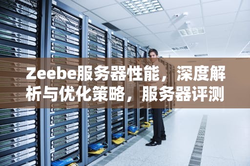 Zeebe服务器性能，深度解析与优化策略，服务器评测大全