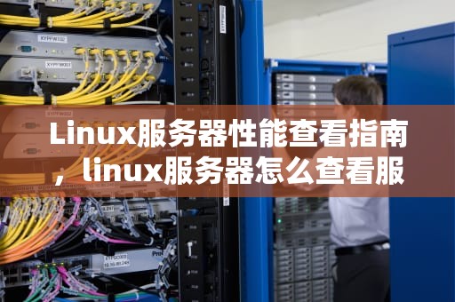 Linux服务器性能查看指南，linux服务器怎么查看服务器的性能参数