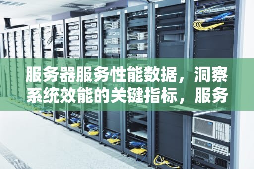 服务器服务性能数据，洞察系统效能的关键指标，服务器服务的性能数据是什么