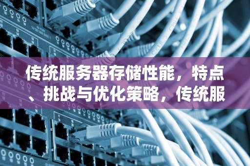 传统服务器存储性能，特点、挑战与优化策略，传统服务器存储性能指标