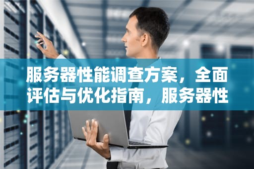 服务器性能调查方案，全面评估与优化指南，服务器性能调查方案怎么写
