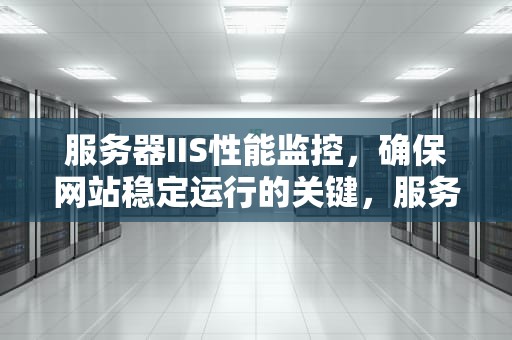 服务器IIS性能监控，确保网站稳定运行的关键，服务器iis性能监控怎么设置