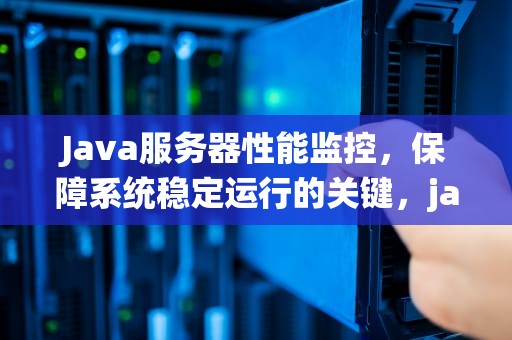 Java服务器性能监控，保障系统稳定运行的关键，java服务器性能监控工具