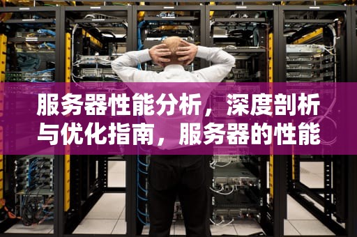 服务器性能分析，深度剖析与优化指南，服务器的性能分析方法