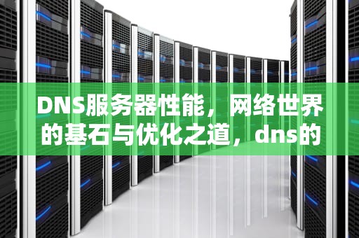 DNS服务器性能，网络世界的基石与优化之道，dns的服务器的作用
