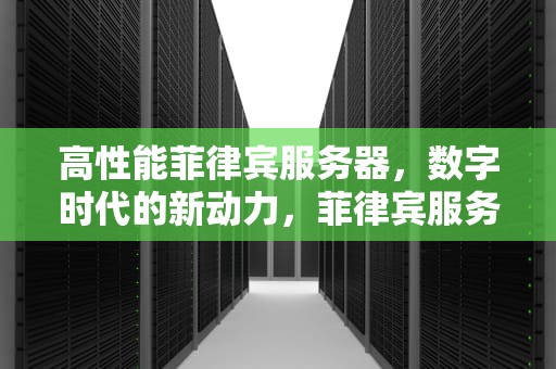 高性能菲律宾服务器，数字时代的新动力，菲律宾服务器地址