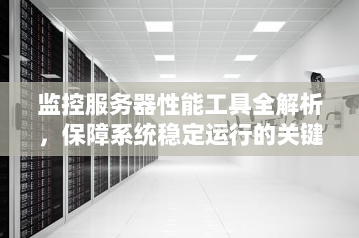 监控服务器性能工具全解析，保障系统稳定运行的关键利器，监控服务器性能工具有哪些