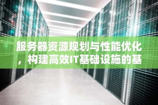 服务器资源规划与性能优化，构建高效IT基础设施的基石，服务器资源 规划 性能测试