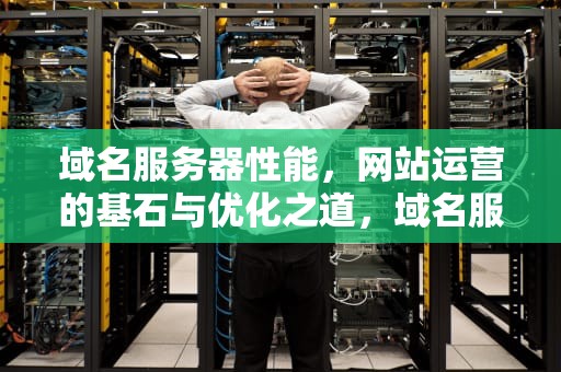域名服务器性能，网站运营的基石与优化之道，域名服务器性能测试