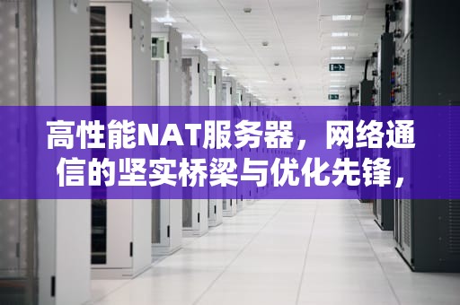 高性能NAT服务器，网络通信的坚实桥梁与优化先锋，nat服务器配置