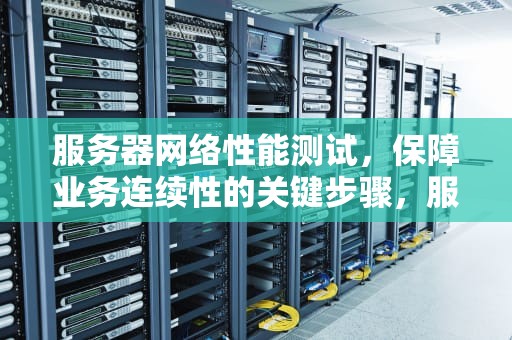 服务器网络性能测试，保障业务连续性的关键步骤，服务器网络性能测试指标