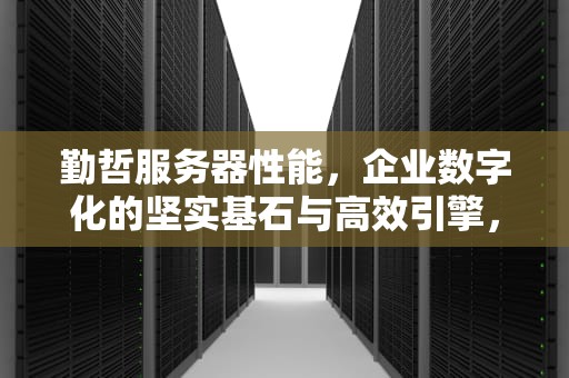 勤哲服务器性能，企业数字化的坚实基石与高效引擎，勤哲 服务器性能怎么样