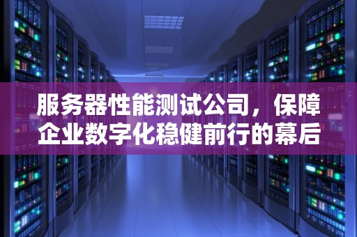 服务器性能测试公司，保障企业数字化稳健前行的幕后卫士，服务器性能测试公司排名