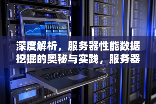 深度解析，服务器性能数据挖掘的奥秘与实践，服务器性能数据挖掘方法