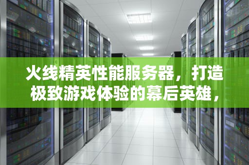 火线精英性能服务器，打造极致游戏体验的幕后英雄，火线精英性能服务器推荐