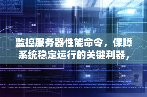 监控服务器性能命令，保障系统稳定运行的关键利器，监控服务器性能命令是什么