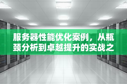 服务器性能优化案例，从瓶颈分析到卓越提升的实战之旅，服务器性能优化案例分析