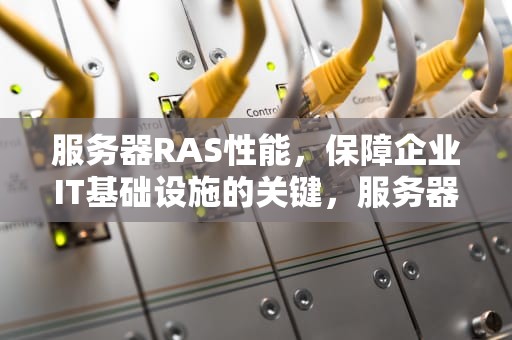 服务器RAS性能，保障企业IT基础设施的关键，服务器ras特性