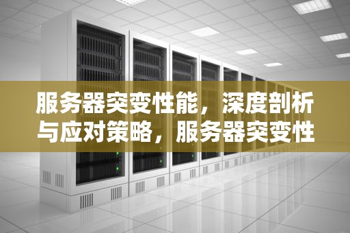 服务器突变性能，深度剖析与应对策略，服务器突变性能测试