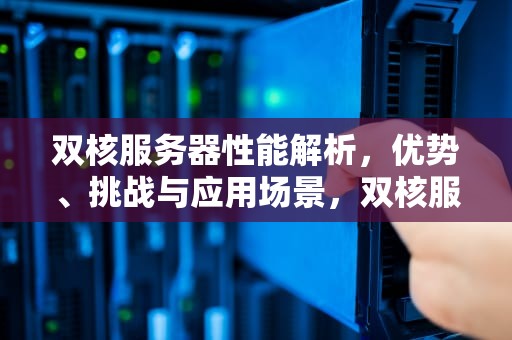 双核服务器性能解析，优势、挑战与应用场景，双核服务器性能怎么样