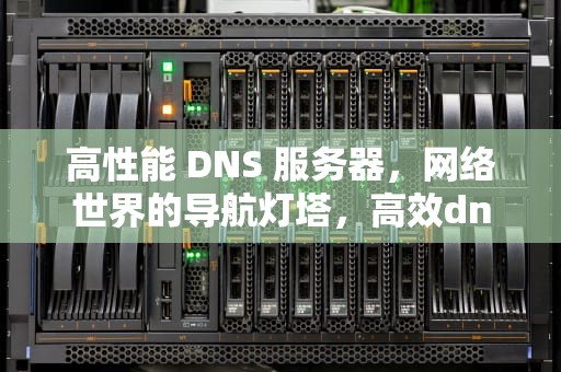 高性能 DNS 服务器，网络世界的导航灯塔，高效dns