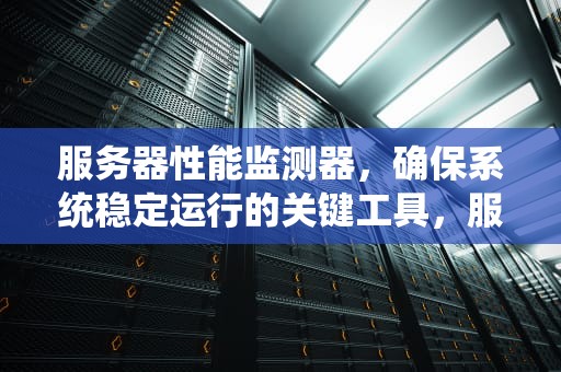 服务器性能监测器，确保系统稳定运行的关键工具，服务器性能监测器怎么用