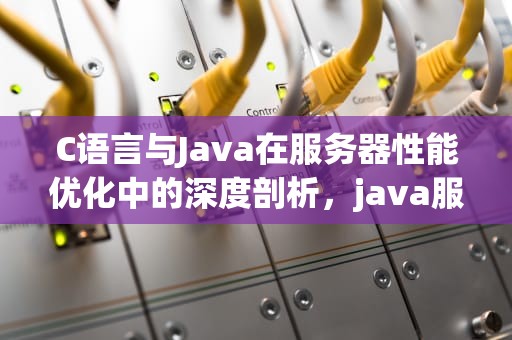 C语言与Java在服务器性能优化中的深度剖析，java服务器和c++服务器