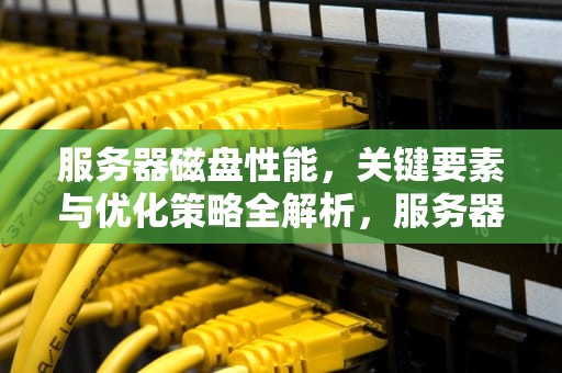 服务器磁盘性能，关键要素与优化策略全解析，服务器磁盘的性能指标