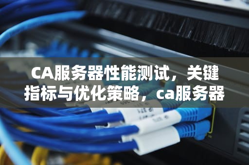 CA服务器性能测试，关键指标与优化策略，ca服务器配置