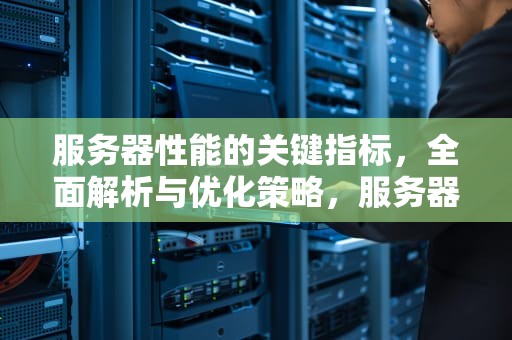 服务器性能的关键指标，全面解析与优化策略，服务器性能的指标有哪些