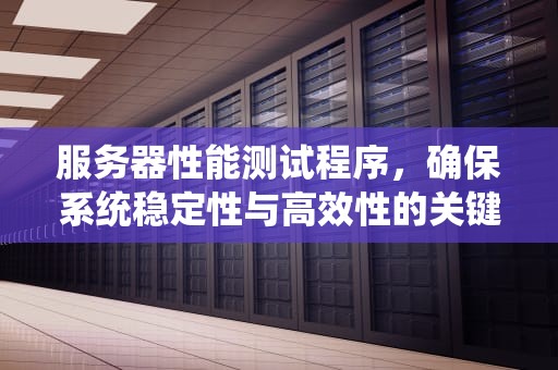 服务器性能测试程序，确保系统稳定性与高效性的关键步骤，服务器性能测试程序是什么
