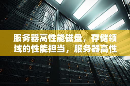 服务器高性能磁盘，存储领域的性能担当，服务器高性能磁盘是什么