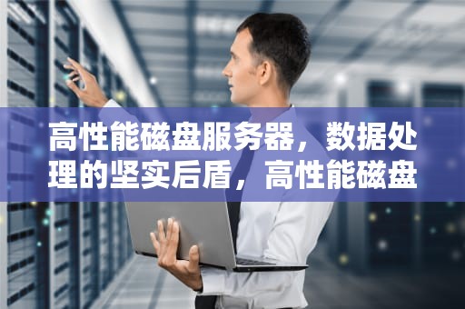 高性能磁盘服务器，数据处理的坚实后盾，高性能磁盘服务器有哪些