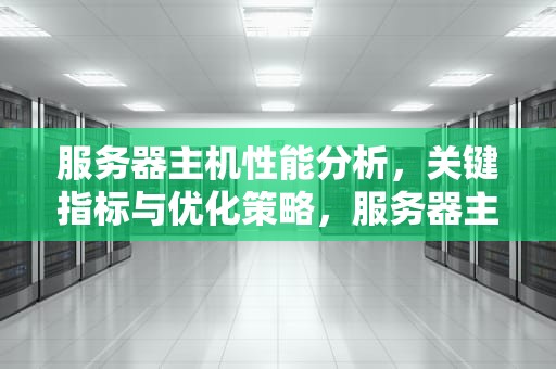 服务器主机性能分析，关键指标与优化策略，服务器主机性能分析表
