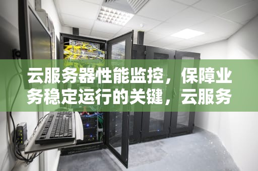 云服务器性能监控，保障业务稳定运行的关键，云服务器性能监控