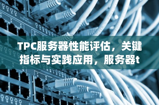 TPC服务器性能评估，关键指标与实践应用，服务器tpc-c值