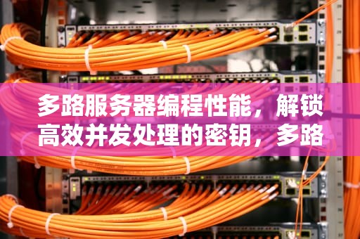 多路服务器编程性能，解锁高效并发处理的密钥，多路服务器编程性能怎么样