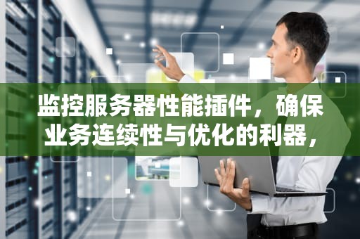监控服务器性能插件，确保业务连续性与优化的利器，监控服务器性能插件有哪些