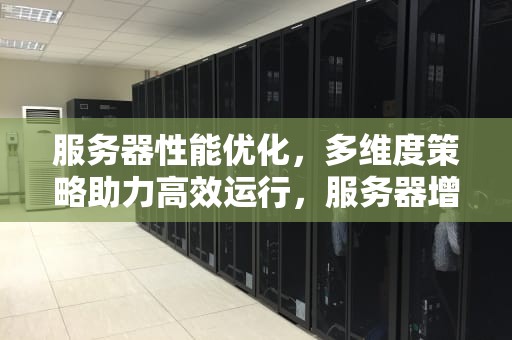 服务器性能优化，多维度策略助力高效运行，服务器增强性能的方法