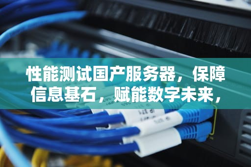 性能测试国产服务器，保障信息基石，赋能数字未来，性能测试国产服务器有哪些