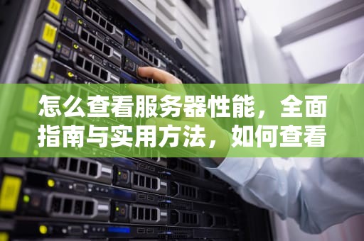 怎么查看服务器性能，全面指南与实用方法，如何查看服务器性能