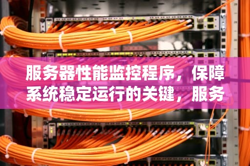 服务器性能监控程序，保障系统稳定运行的关键，服务器性能监控程序是什么