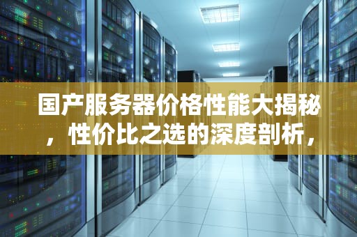 国产服务器价格性能大揭秘，性价比之选的深度剖析，国产服务器价格性能排行