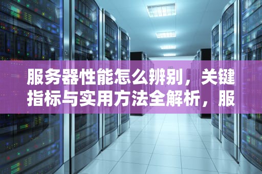 服务器性能怎么辨别，关键指标与实用方法全解析，服务器性能怎么辨别好坏